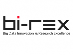 visita pagina cliente Bi-REX