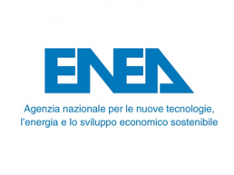 Visita pagina cliente ENEA